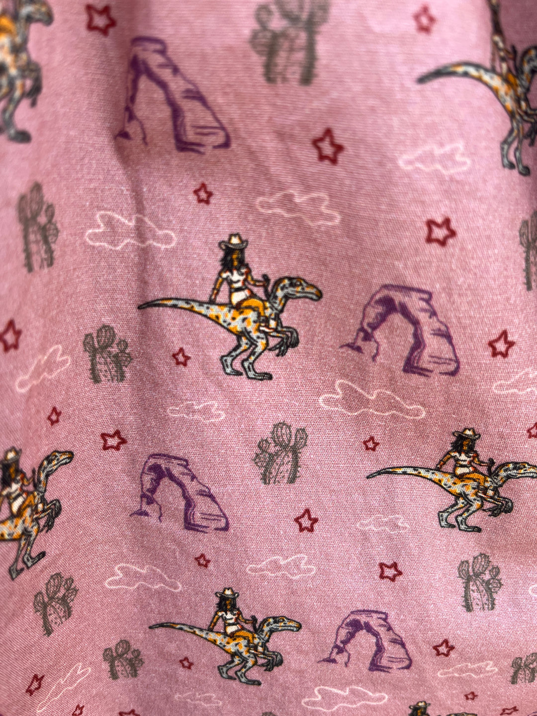 Desert Wild Cowgirl Toddler Dress